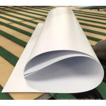 Non-Toxic PP Rigid Film for Vacuum and Thermoforming Packing